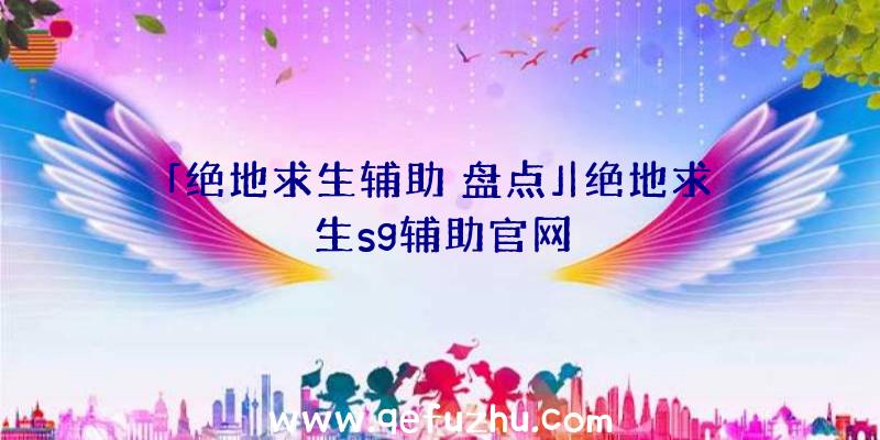 「绝地求生辅助